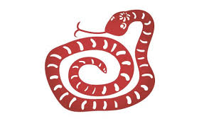 Image result for Year of the Snake"